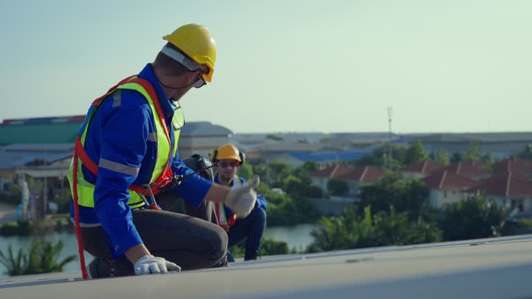 Best Roof Moss and Algae Removal  in Maryland Heights, MO